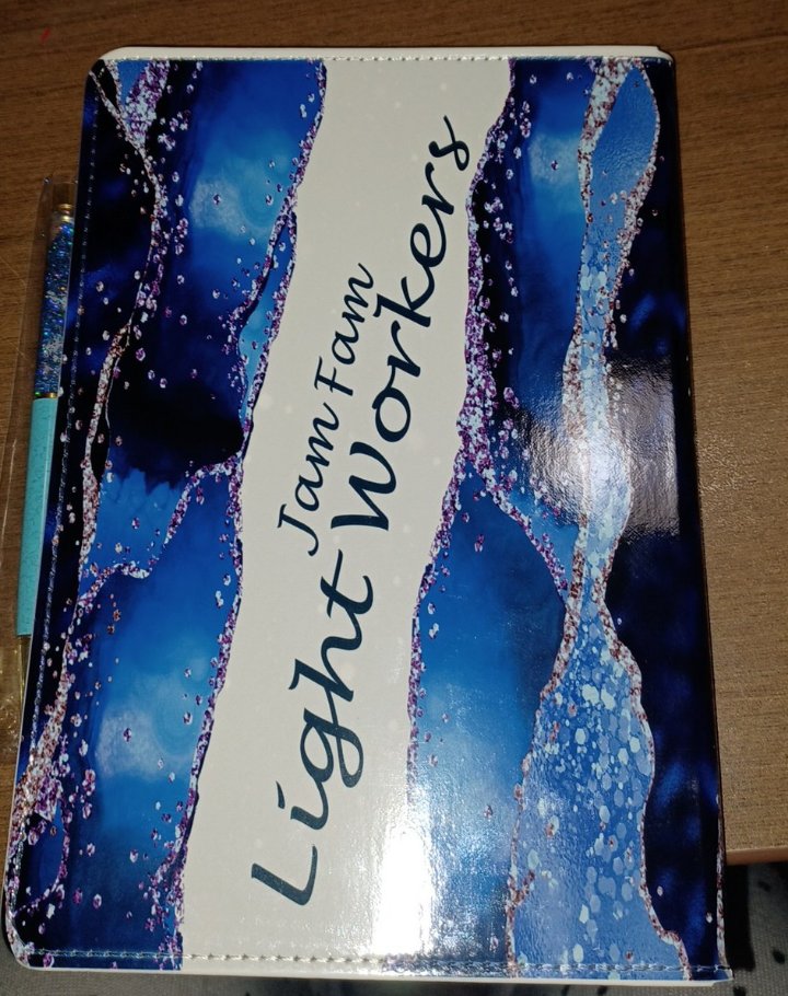 Do it anyway Journal